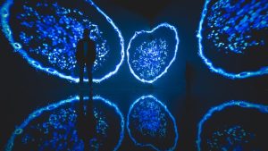cell worlds