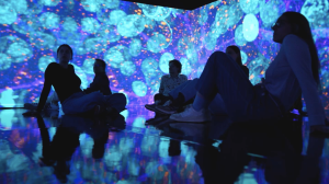 cell worlds